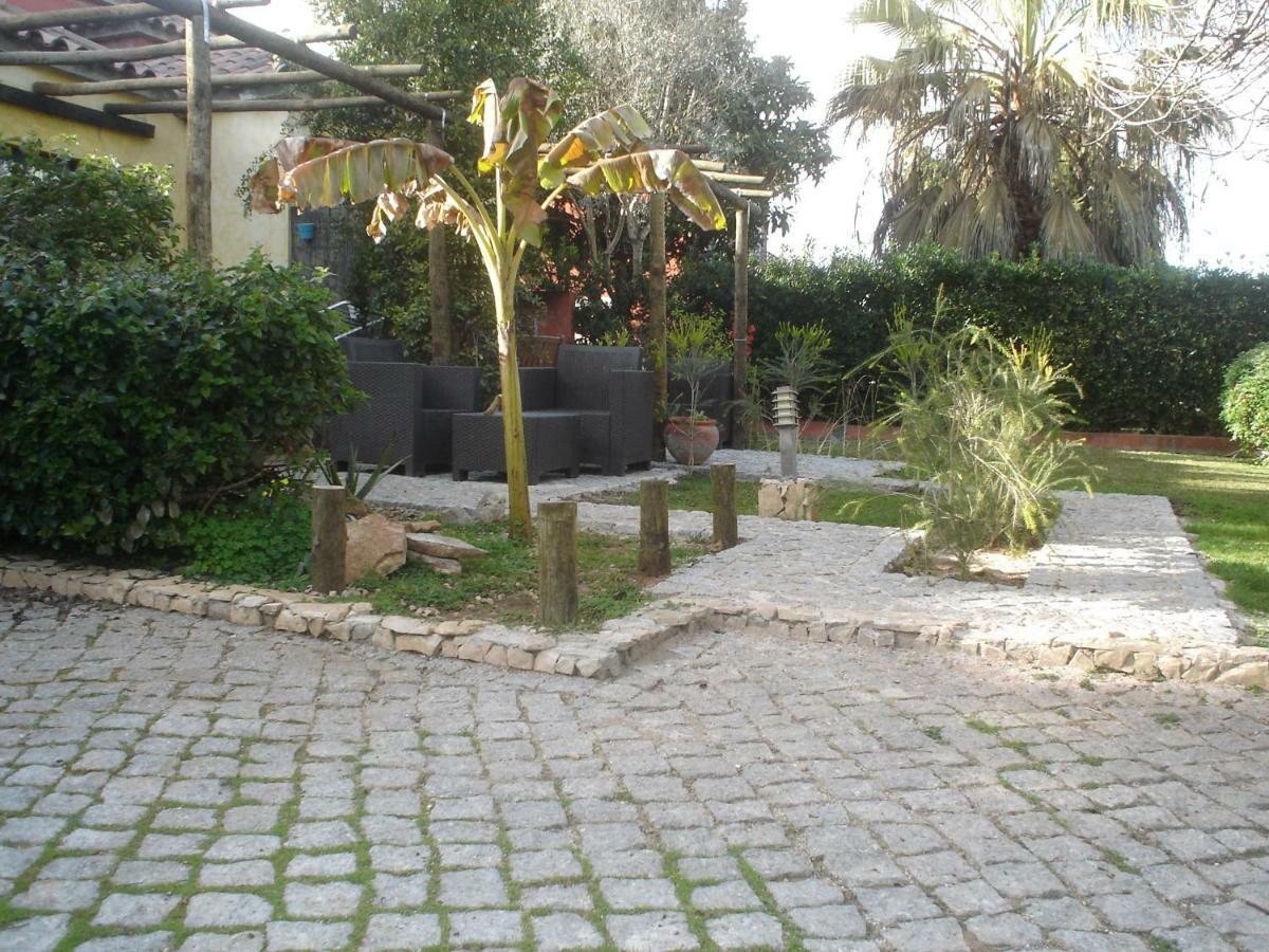 Quinta Da Sao Joao - Villa Oliveira โอลเญา ภายนอก รูปภาพ