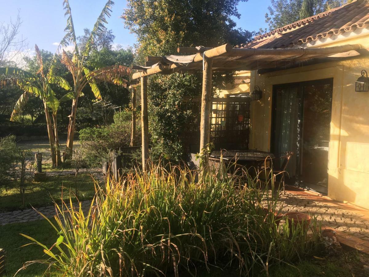 Quinta Da Sao Joao - Villa Oliveira โอลเญา ภายนอก รูปภาพ