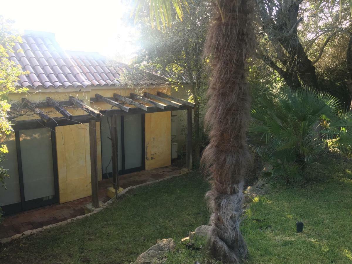 Quinta Da Sao Joao - Villa Oliveira โอลเญา ภายนอก รูปภาพ