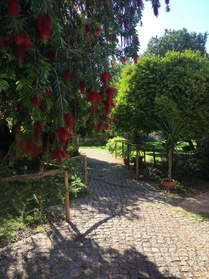 Quinta Da Sao Joao - Villa Oliveira โอลเญา ภายนอก รูปภาพ